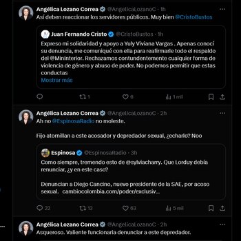 Angélica Lozano se despachó en