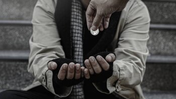 La banda actuaría en grupos