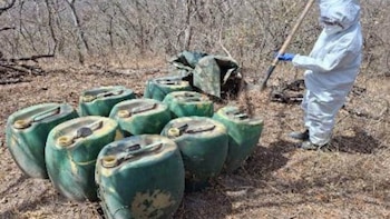 Narcolaboratorios en Sinaloa