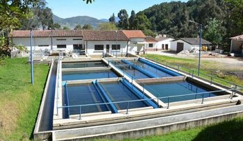 La Fiscalía captura a cuatro