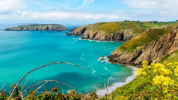 Según fuentes oficiales, Guernsey erradicó