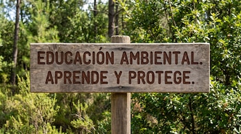 Un cartel rectangular de madera sobre un poste con el texto grabado Educación ambiental. Aprende y protege, ante un fondo de follaje verde.