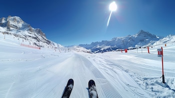 La ex directora del Seguro