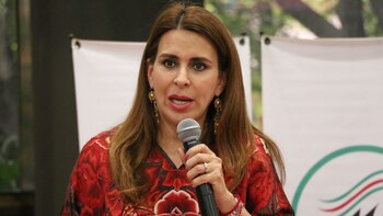 Plan B electoral afecta