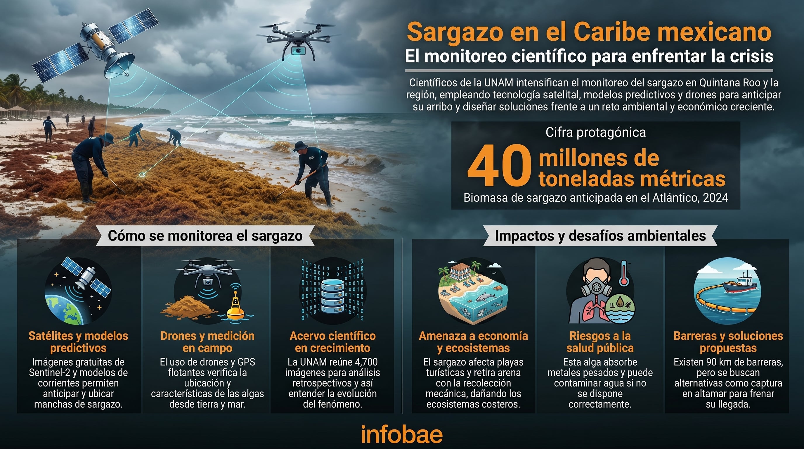 Científicos de la UNAM emplean tecnología satelital y drones para monitorear y mitigar el sargazo, una macroalga que representa un grave desafío ambiental y económico en el Caribe mexicano, con 40 millones de toneladas métricas anticipadas para 2024. (Imagen Ilustrativa Infobae)