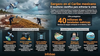 Infografía de playa con sargazo siendo limpiado por personas. Incluye ilustraciones de satélite y dron para monitoreo, junto a datos sobre el fenómeno.