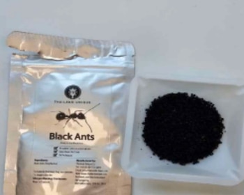 Bolsa plateada de hormigas negras molidas de la marca Thailand Unique y un recipiente blanco con el producto en polvo
