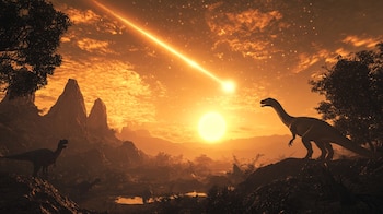 El trabajo publicado en Scientific