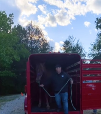 Su rescatista pagó 1.400 dólares