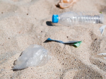 Los envases de plástico pueden quedar abandonados en la naturaleza. (Magnific)
