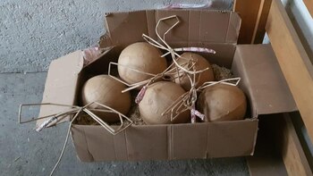 FGR aseguró material explosivo y armamento en Puebla: posiblemente se usaron en atentados en Guanajuato