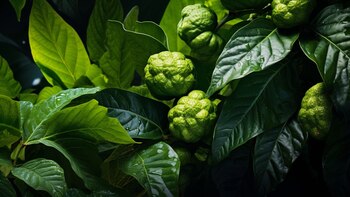 Cómo consumir el jugo de