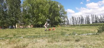 El proyecto desarrollado por el