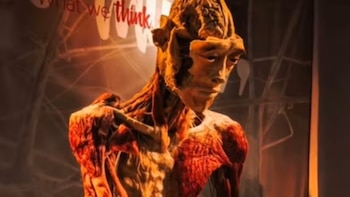 Madre asegura haber encontrado a