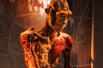 La exposición de cadáveres en