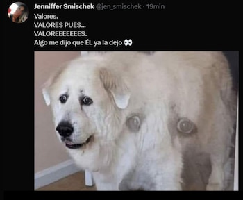 Jossmery Toledo causó revuelo en