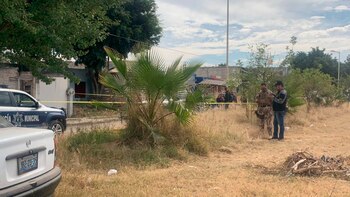 Hallan 17 bolsas con restos