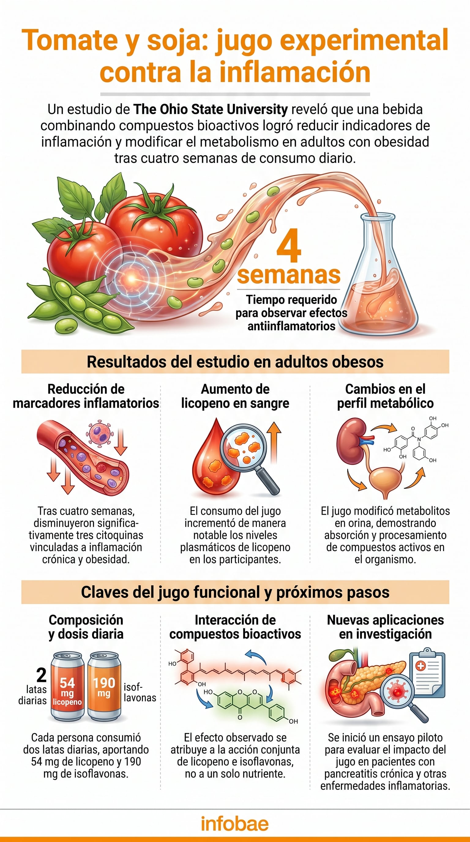 El estudio de The Ohio State University empleó licopeno e isoflavonas, compuestos bioactivos con propiedades antioxidantes y antiinflamatorias (Imagen Ilustrativa Infobae)