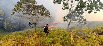 Incendios forestales en Cundinamarca -