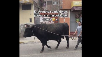 Comentarios jocosos y reflexivos aparecen