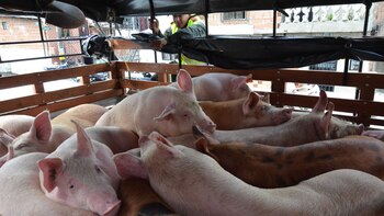 Se puede propagar a través