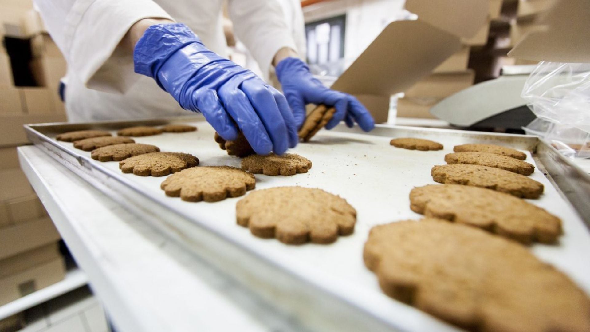 Durante 2025, 51 de 93 ramas industriales presentaron crecimiento, destacando la construcción de buques y estructuras flotantes con un alza de 777,9%.