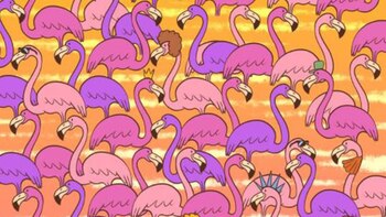 Test visivo: hai 10 secondi