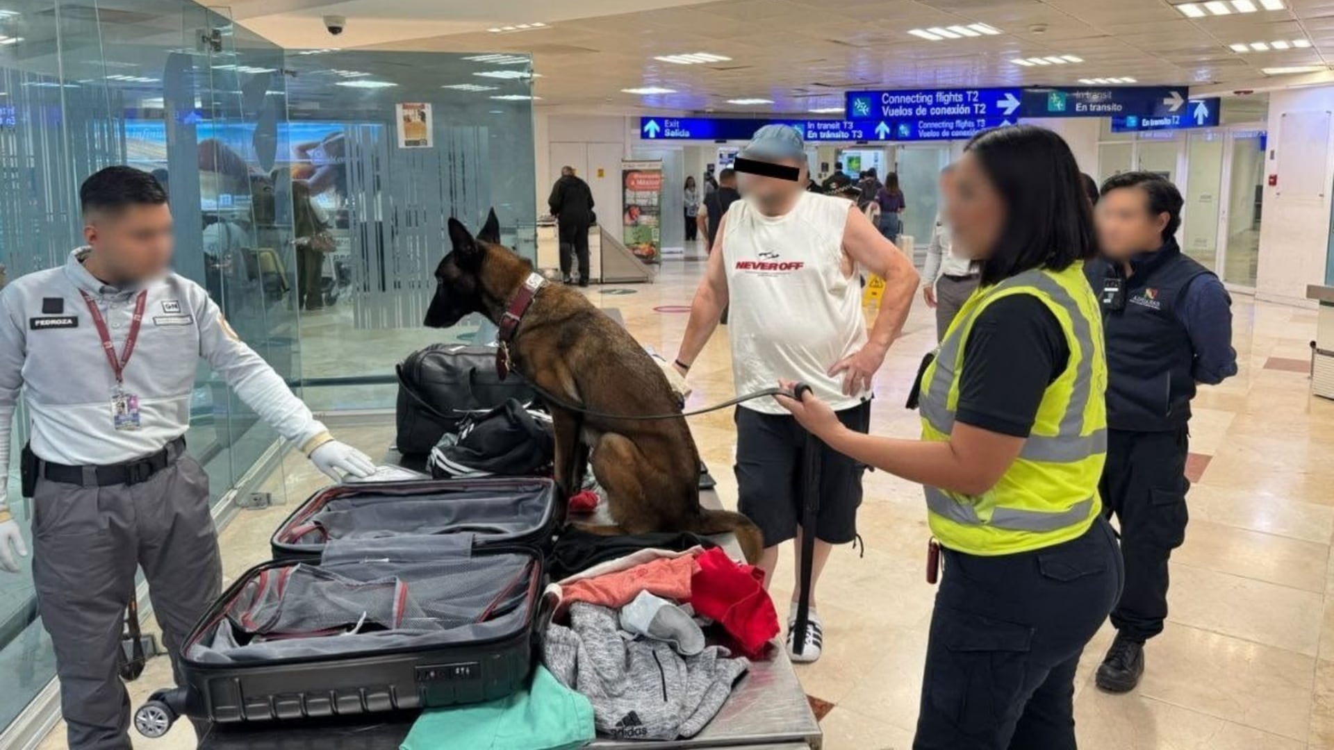 Agentes federales aseguran 10 kilos de cocaína en el Aeropuerto Internacional de Cancún: binomio canino y rayos X fueron clave