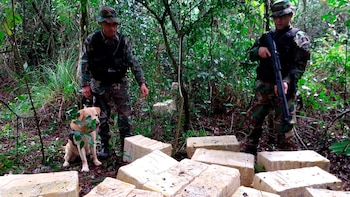 secuestro marihuana misiones