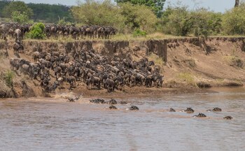 Según el investigador Dan Challenger,