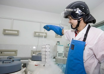 China invirtió el 2.44% de