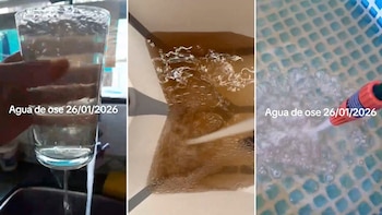 Hubo cambios de color, olor