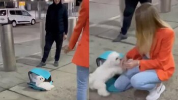 El momento en el que