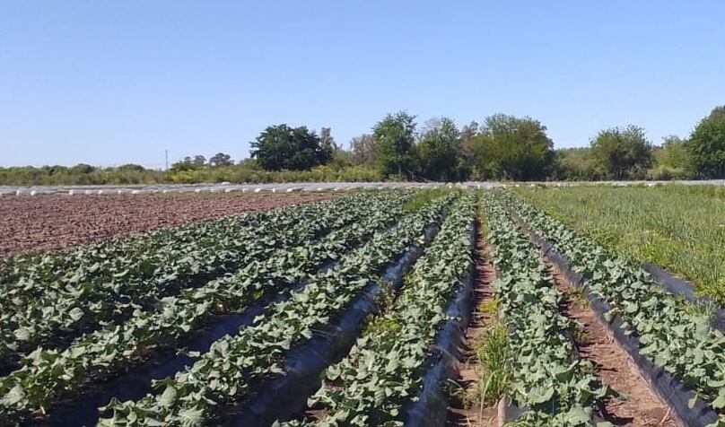 La estancia donde esclavizaron a Osmar