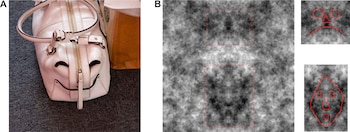 El cerebro humano está programado para detectar rostros incluso donde no los hay (Universidad de Nueva Gales del Sur)