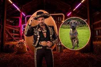 Hombre con traje de charro y sombrero en un pajar con luces de neón y un círculo superpuesto que muestra a un perro atigrado con arnés.