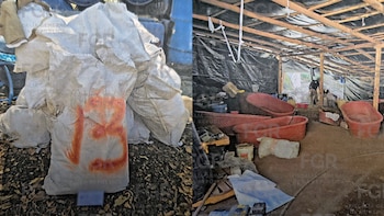 Parte de los costales y