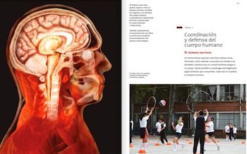 Libros de Texto Gratuito disponibles