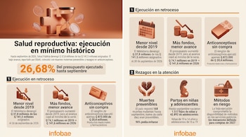 Infografía con gráficos, iconos en relieve, cifras sobre presupuesto de salud reproductiva y el logotipo de Infobae en la parte inferior.