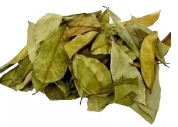 Estudios recientes han comenzado a