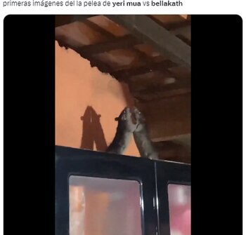 (Captura de pantalla)