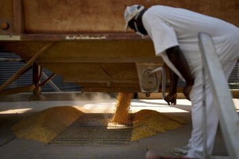 El trabajo carcelario se extiende