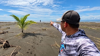 El mar se tragó cultivos y terrenos de Isla Cañas tras el terremoto en Panamá