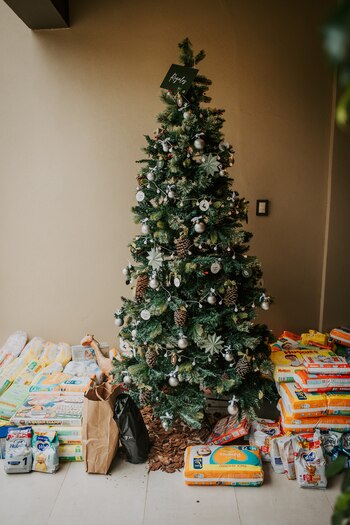 El árbol de llenó más