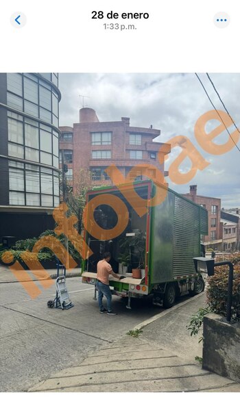 La fotografía obtenida por este