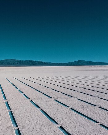 En las Salinas Grandes de