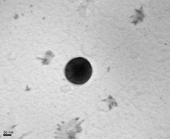 La foto que hace referencia