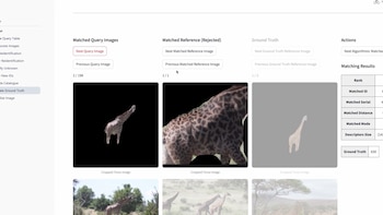 Captura de pantalla de una interfaz web con imágenes recortadas del cuerpo y pelaje de jirafas junto a datos de coincidencia