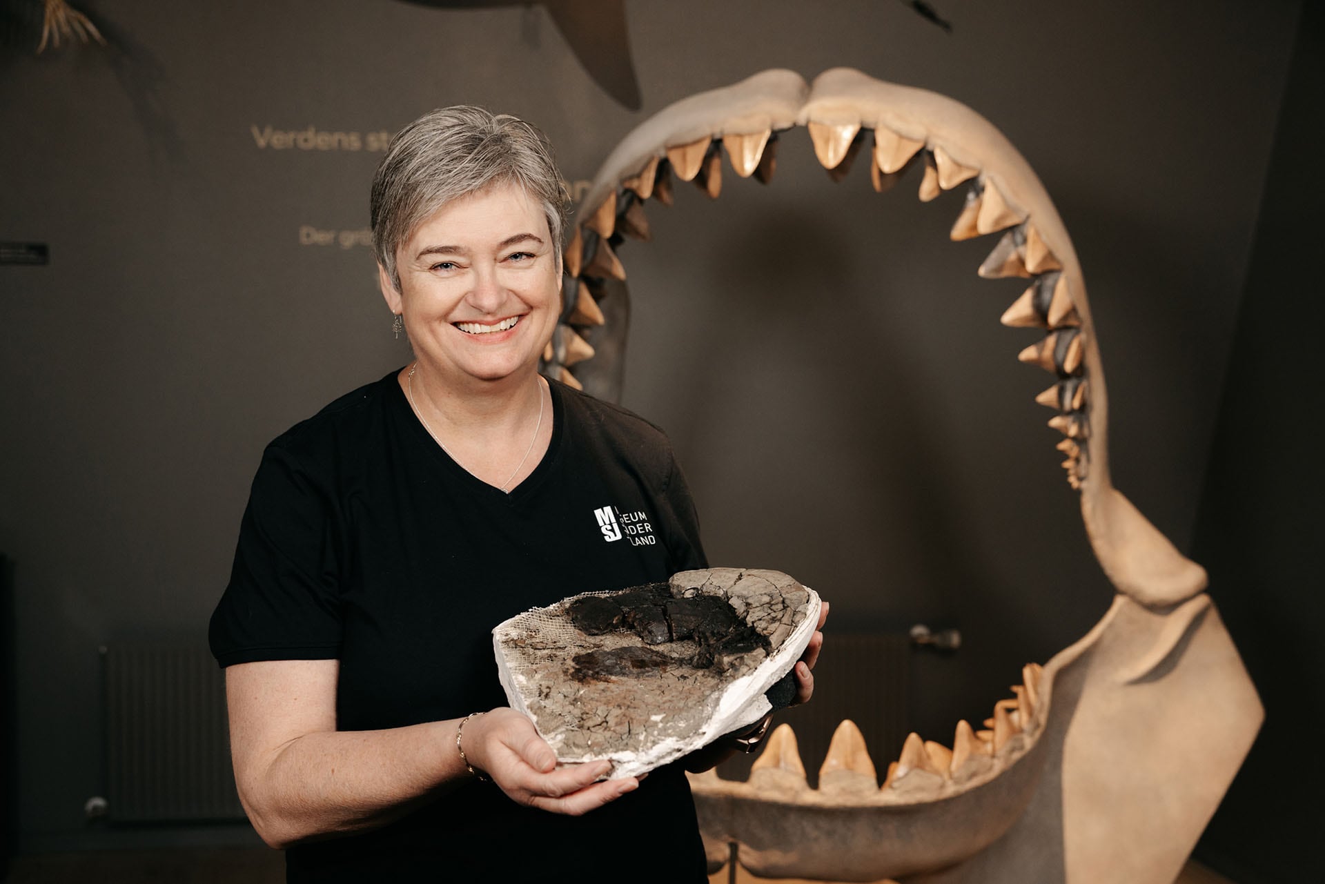 La científica Mette Elstrup sostiene un fósil vertebral de 10,8 millones de años de antigüedad perteneciente al extinto tiburón megalodón, con un modelo reconstruido de su mandíbula al fondo. (Museum of Southern Jutland)