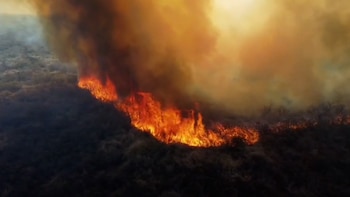 Un hombre quedó detenido por comenzar un incendio que consumió alrededor de 15 hectáreas en Córdoba